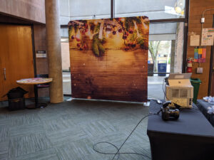 Popup Studio Photo Booth with rustic wood and pinecone holiday backdrop